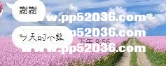愛麗2.jpg